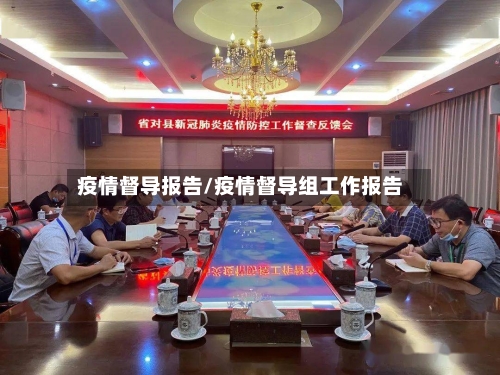 疫情督导报告/疫情督导组工作报告