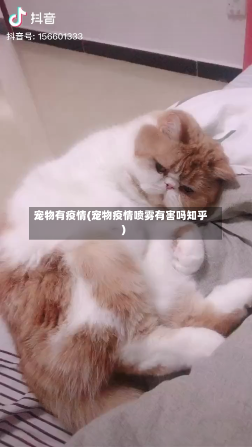 宠物有疫情(宠物疫情喷雾有害吗知乎)