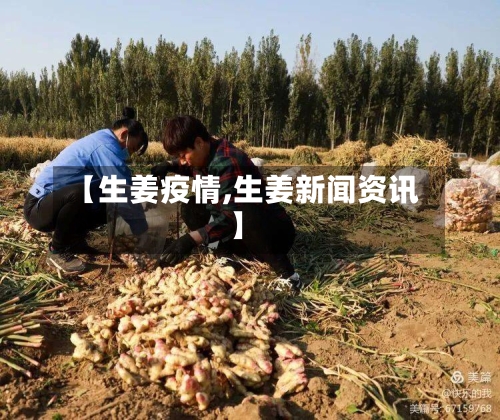 【生姜疫情,生姜新闻资讯】