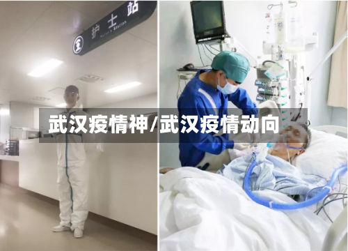 武汉疫情神/武汉疫情动向